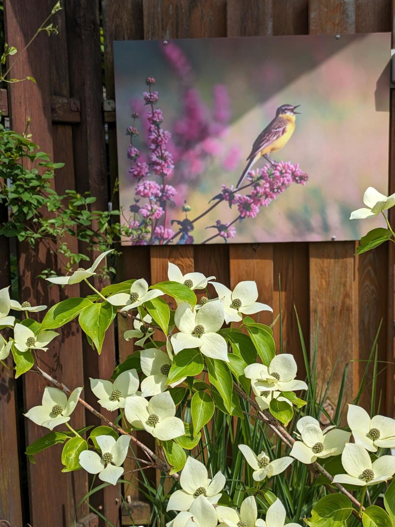 Ferienwohnung Zum Wenning Mit Garten In Stadtlohn Exterior foto